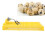 Egg Incubator Egg Tray Small 24 Eggs Four Leaf 12