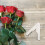Durable White Rose Thorn Remover Tool for Gardening and Florists 6