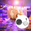 Led-Licht Led-Feestlicht Om Stembesturing Te Draaien 4