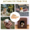 Kat Klimrek Speelgoed Houten Binnen Plank 9