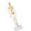Removable Human Structural Skeleton Model Mini, Anatomical Human Joints and Bones for DIY Educational Use 1pc 5