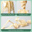 Removable Human Structural Skeleton Model Mini, Anatomical Human Joints and Bones for DIY Educational Use 1pc 3