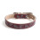 Basic Classic Luxury Padded Leather Dog Collar - Rust Proof Brass Lock for Large Medium Pets 1