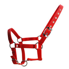 Equestrian Training Donkey Halter Adjustable with Rope for Large Sizes, Maximum Size, Red Color