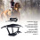 Horse Halter Set with 2m Leash, Adjustable, Navy Blue M 4