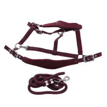 Wine Red Adjustable Horse Halter Set with 2m Leash for Training
