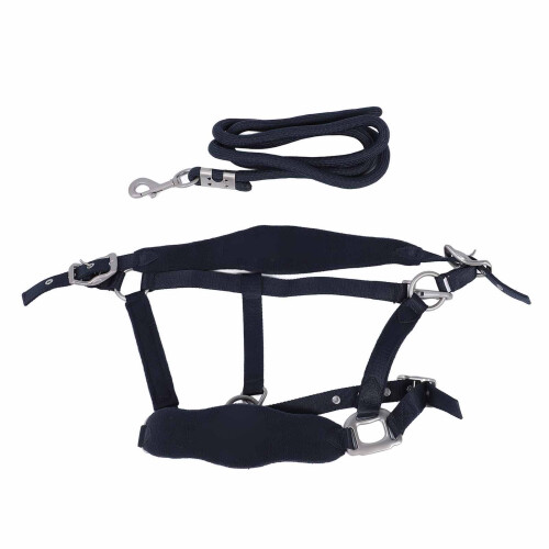 Horse Halter Set with 2m Leash, Adjustable, Navy Blue Small