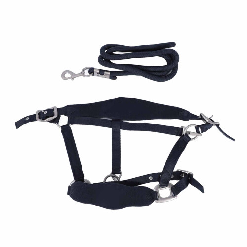 Horse Halter Set with 2m Leash, Adjustable, Navy Blue Small 2