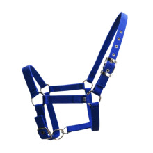 Adjustable Horse Halter for 90 cm-110 cm Horses, Portable Headcollar for Equestrian Events, Blue Racing Gear