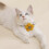 Cat Pet Collar with Bell Pendant Bow Tie(yellow) 3