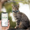 4 Pcs Pet Cat Collar 3