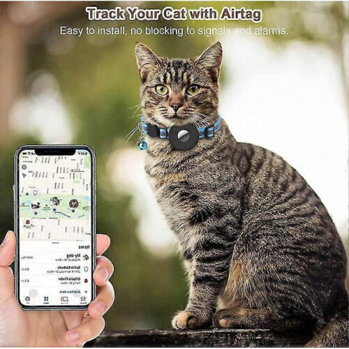 4 Pcs Pet Cat Collar 2