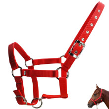 Horse Halter 25mm Wide PP Webbing with Metal Buckle Adjustable Lightweight Portable Halter for Mini Horses