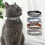 Leather Cat Collar with Studded for Small Medium Large Breed Best Gift Pet Rivet Collar 5