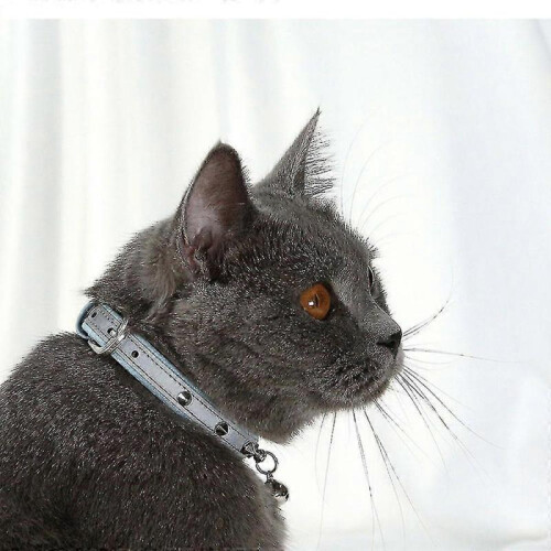Leather Cat Collar with Studded for Small Medium Large Breed Best Gift Pet Rivet Collar 2
