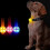 Dog Collar Light,led Glowing Pet Collar Light Waterproof ,blue 11