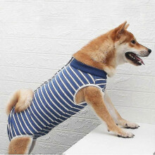 Recovery Suit for Dogs, Surgical Recovery Suit for Dogs for Abdominal Wounds Male Female Or Skin Diseases, Alternatives To Electronic Collars Riilq