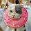 Doughnut Elizabeth Circle Adjustable Soft Pet E-collar Neck Collar Circle for Cat Small Dog 5