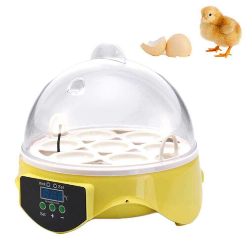 Egg Incubator Mini Automatic 7 Egg Capacity Intelligent Temperature Control for Chickens, Ducks, Geese, and Birds