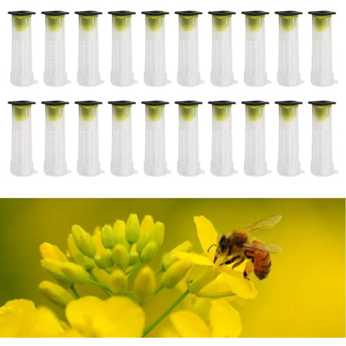 20 Pack Rearing Cup Kit for Queen Bees with Essential Roller Cages, Durable Plastic, Hive Control and Breeding Tools 2
