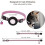 Nylon Kitten Collar 5