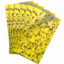 50 Insect Traps, Double Sided Sticky Paper, Yellow Sticky Papers for White Fly Leaf, Aphids