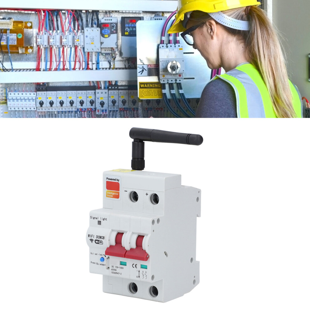 Smart 2P Wifi Dc Circuit Breaker 80A Voice Control, 10-100V 8091347918969