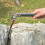 Multifunctional Stainless Steel Stakes Nail Puller with-blue 3