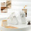 Slanted Plastic Pen Holder | Compact 16.5x7x15cm Multi-Use Organizer 5