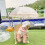 Lightweight Beige Parasol with Strong Clamp for Strollers and Chairs 9