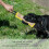 Cuscino da morso per cane - Taglia: M-L, Bordo giallo 5