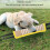 Cuscino da morso per cane - Taglia: M-L, Bordo giallo 6