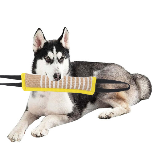 Cuscino da morso per cane - Taglia: M-L, Bordo giallo