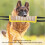 Cuscino da morso per cane - Taglia: M-L, Bordo giallo 7