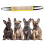 Cuscino da morso per cane - Taglia: M-L, Bordo giallo 4
