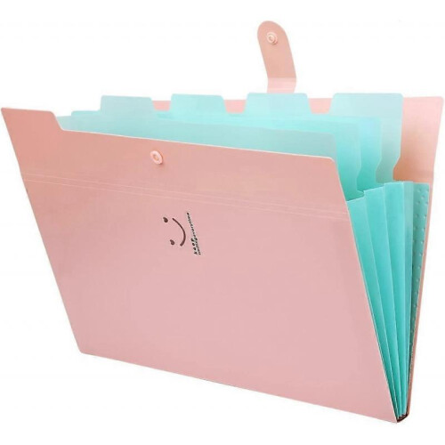 Expandable Portable Document folder, A4 document folder, A4 folder, 5 compartments Handheld folder