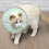 Lightweight Green Cat Elizabethan Collar, Size S, M, L 5