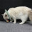 Lightweight Green Cat Elizabethan Collar, Size S, M, L 1