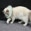 Lightweight Green Cat Elizabethan Collar, Size S, M, L 4