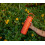 STANLEY Stanley IceFlow Flip Straw 2.0 Μπουκάλι Νερού 24 OZ | Ενσωματωμένο Καλαμάκι | Ελαφρύ & Αδιάβροχο 5