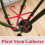 4Pcs Waterproof Plant Stem Holders Set, 4 Sizes, Red 13