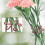 4Pcs Waterproof Plant Stem Holders Set, 4 Sizes, Red 16