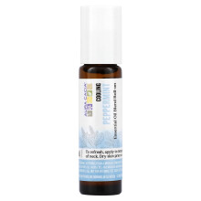 Aura Cacia, Ätherische Ölmischung, Kühlender Roll-On, Pfefferminze, 0,31 fl oz (9,2 ml)