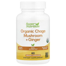 Champignon Chaga Biologique + Gingembre
