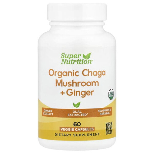 Champignon Chaga Biologique + Gingembre