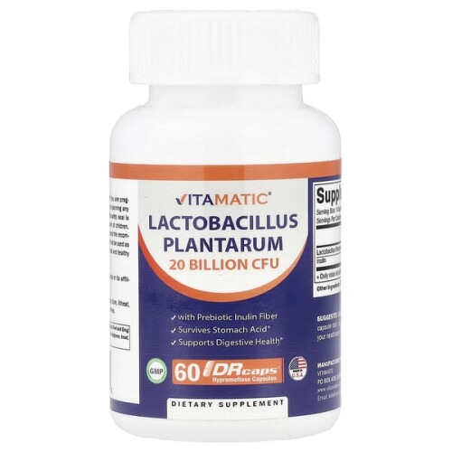 Lactobacillus Plantarum