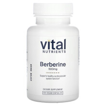 Vital Nutrients, Berberin, 500 mg, 60 vegane Kapseln