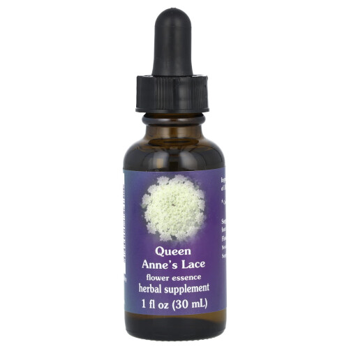 Flower Essence Services, Wilde Möhre, Blütenessenz, 1 fl oz (30 ml)