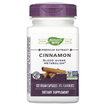 Nature's Way, Zimt, Premium-Extrakt, 120 Vegane Kapseln