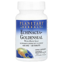 Echinacea-Goldenseal with Olive Leaf